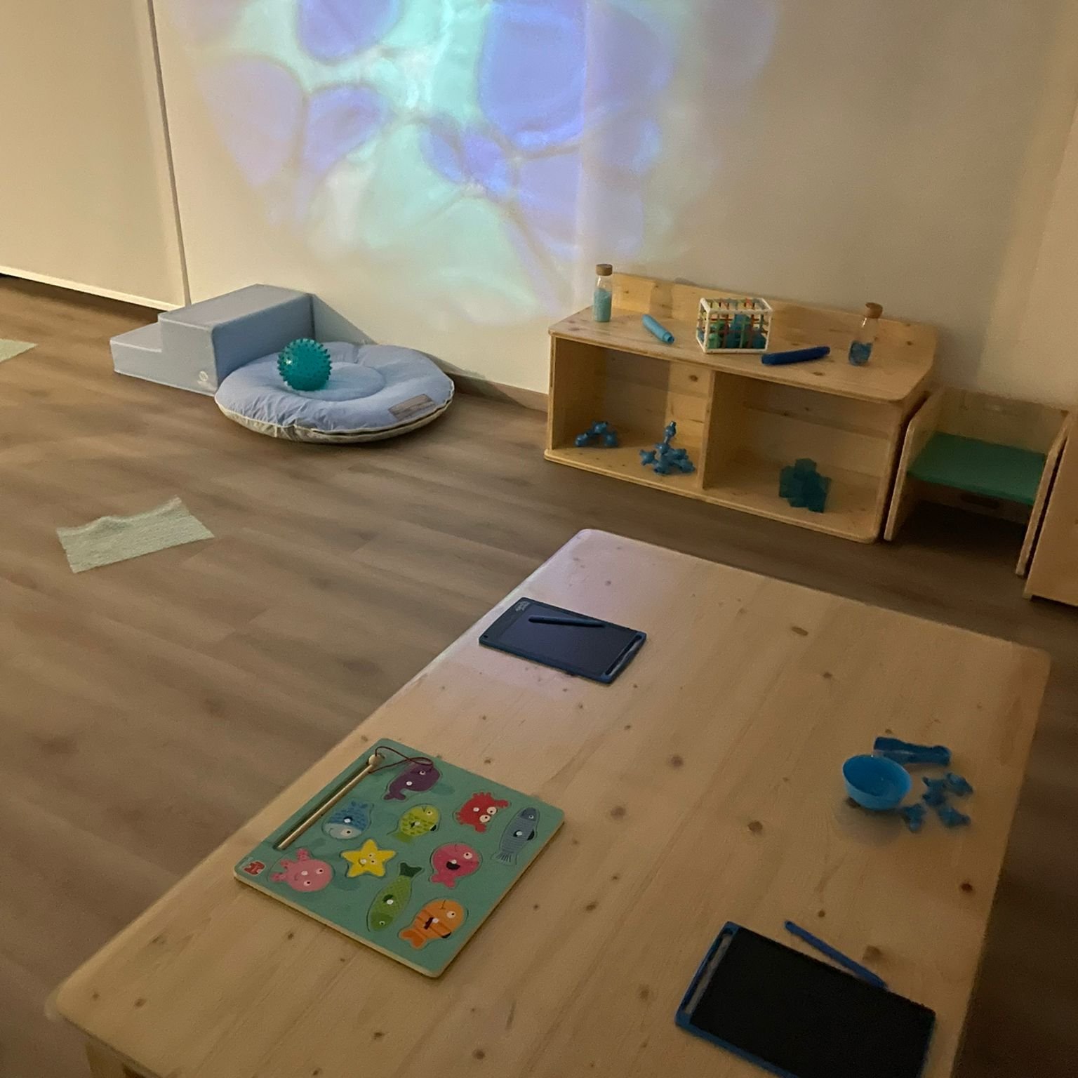 Présentation de la micro-crèche